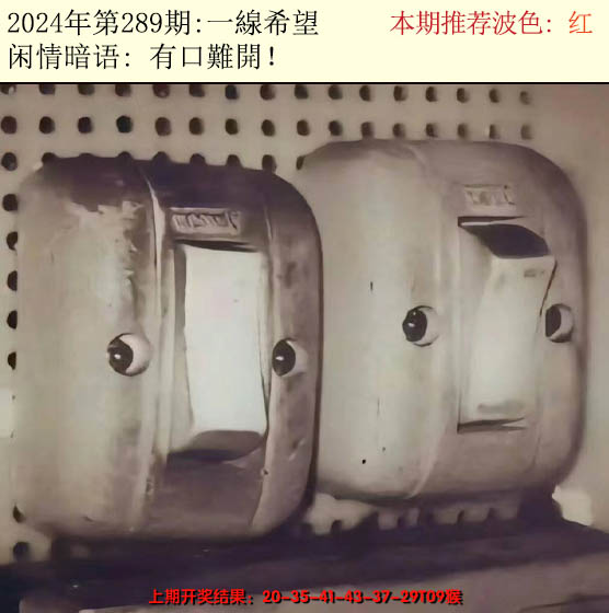 2024289期今日闲情2