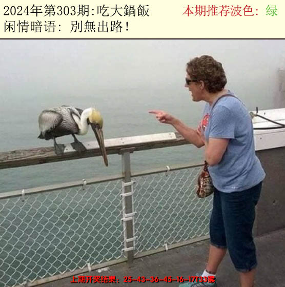 2024303期今日闲情2