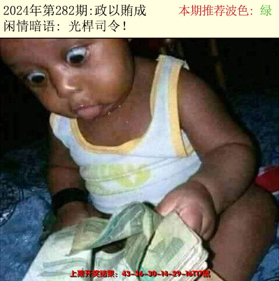 2024282期今日闲情2