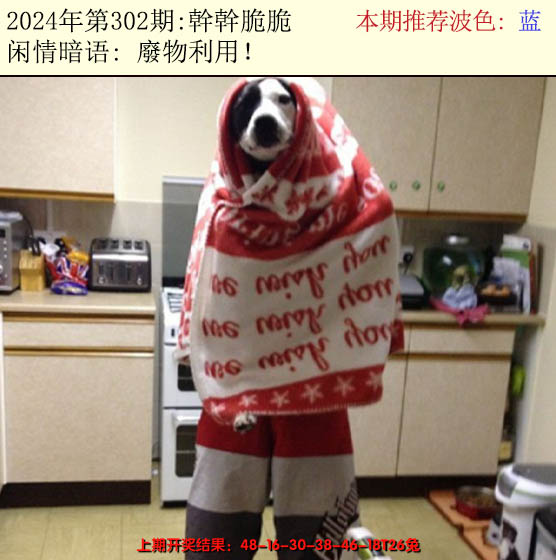 2024302期今日闲情2