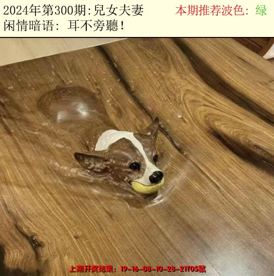 2024300期今日闲情2