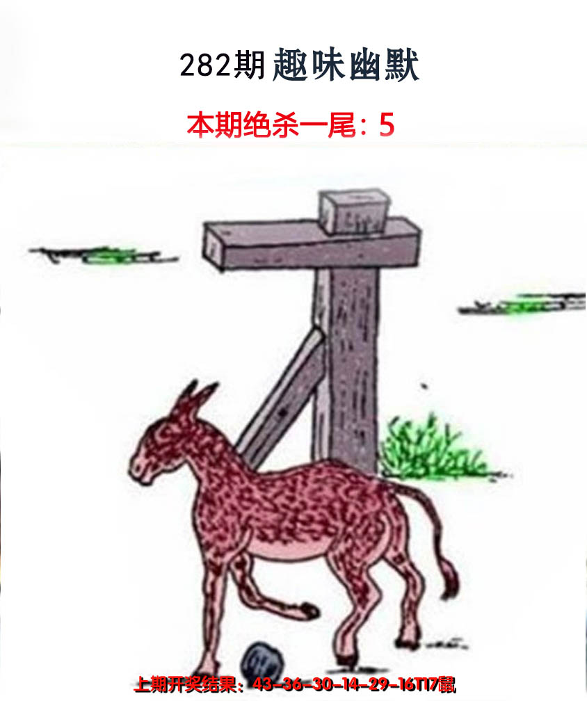 2024282期趣味幽默