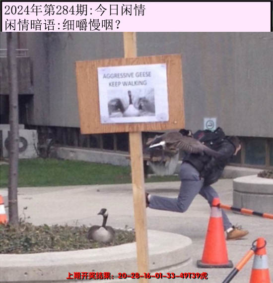 2024284期今日闲情