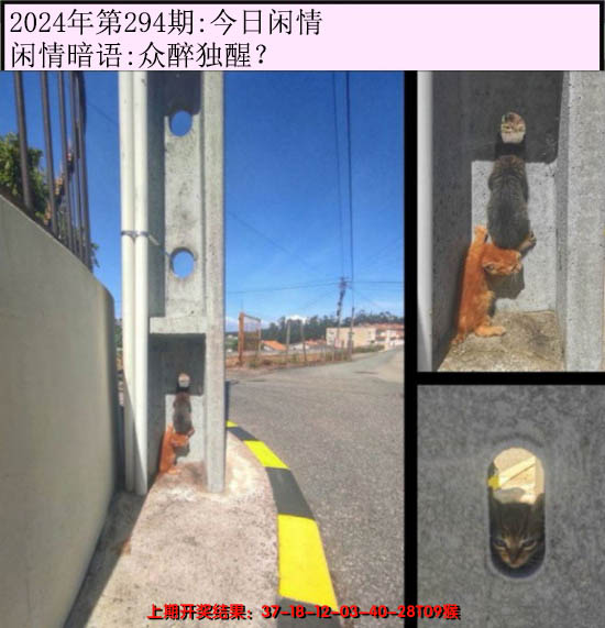 2024294期今日闲情