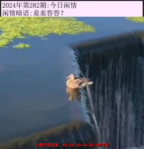 2024282期今日闲情