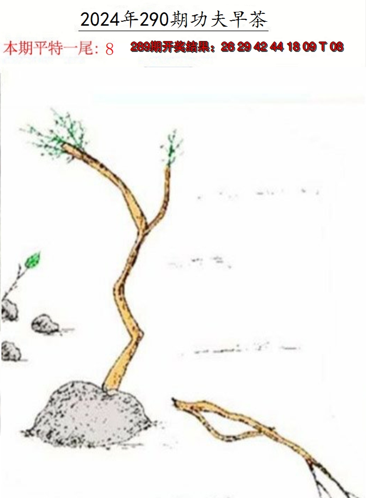 2024290期功夫早茶