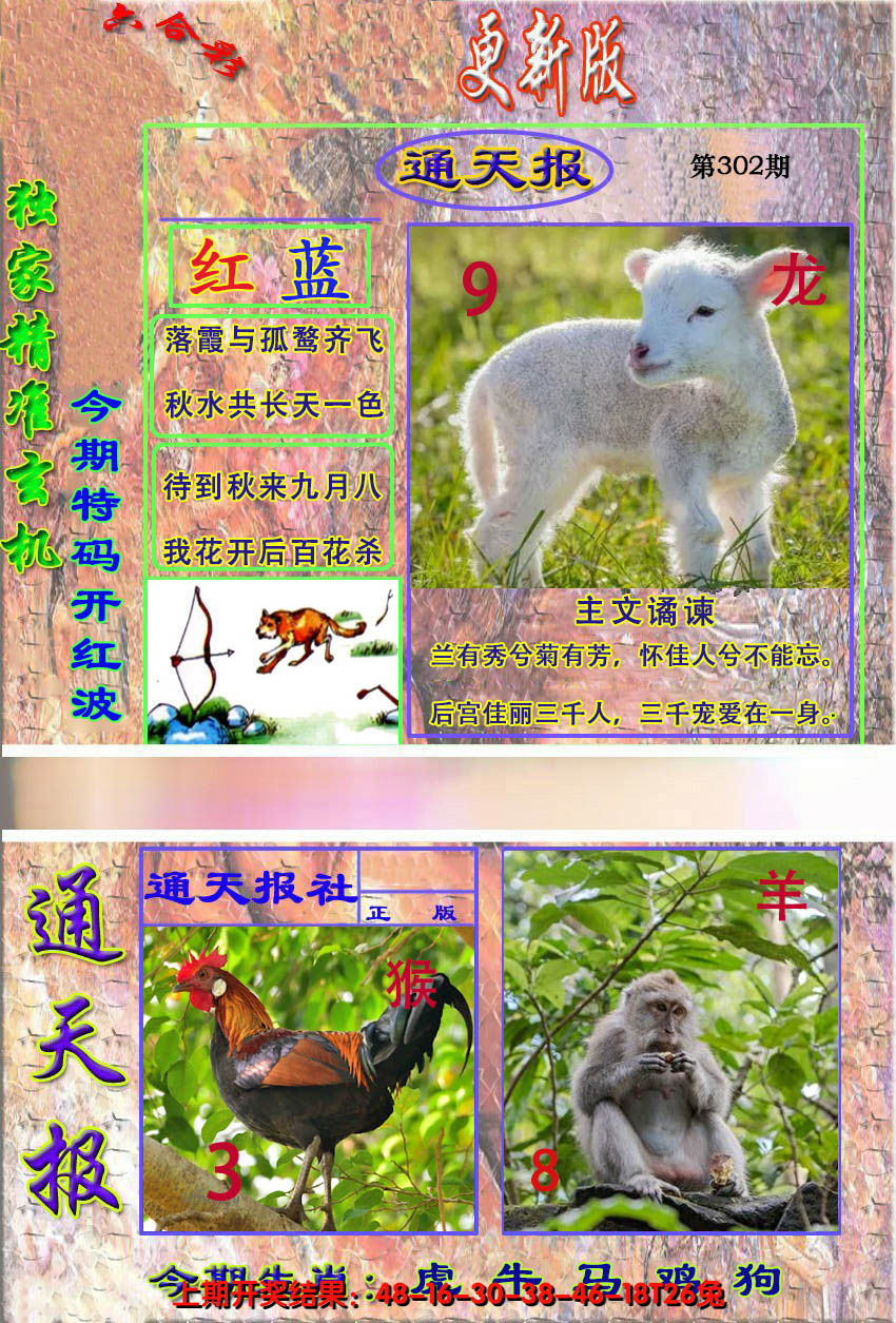 2024302期新通报