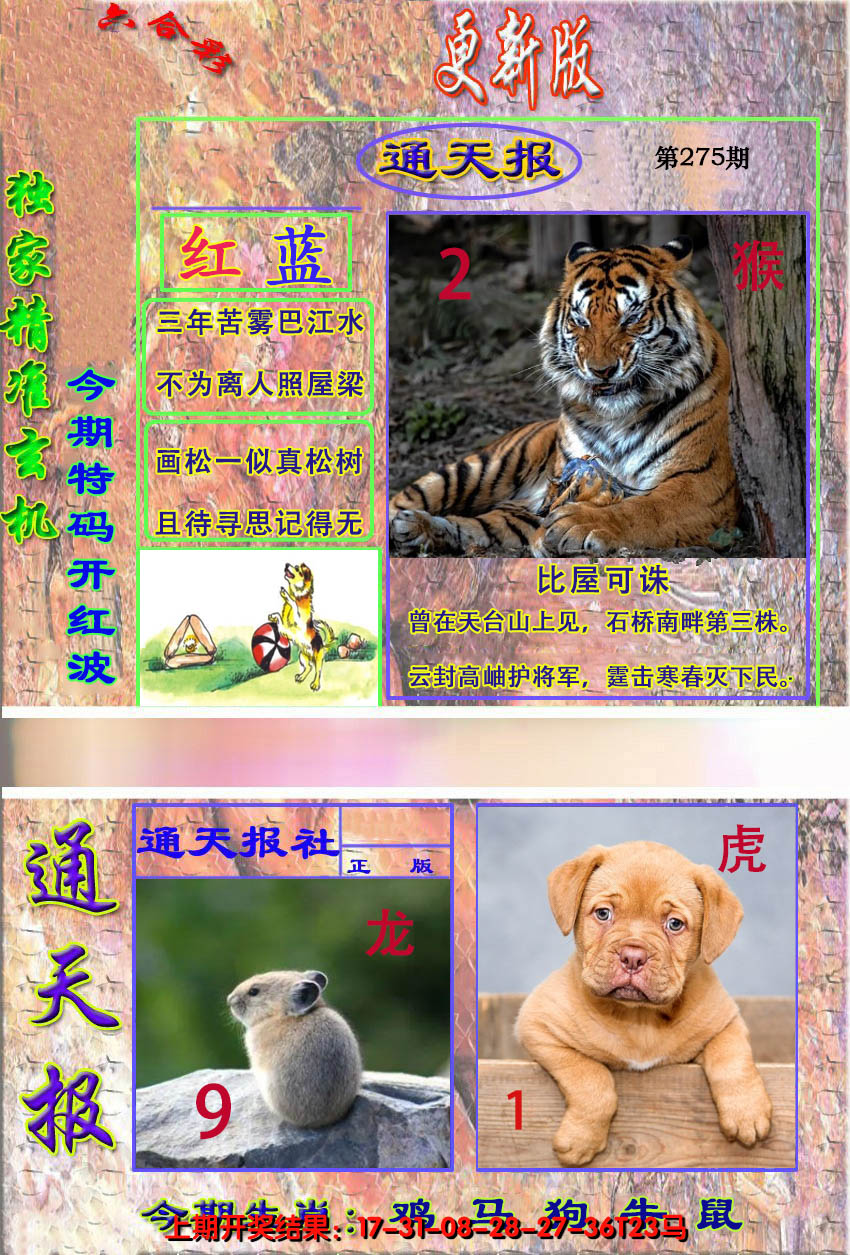 2024275期新通报