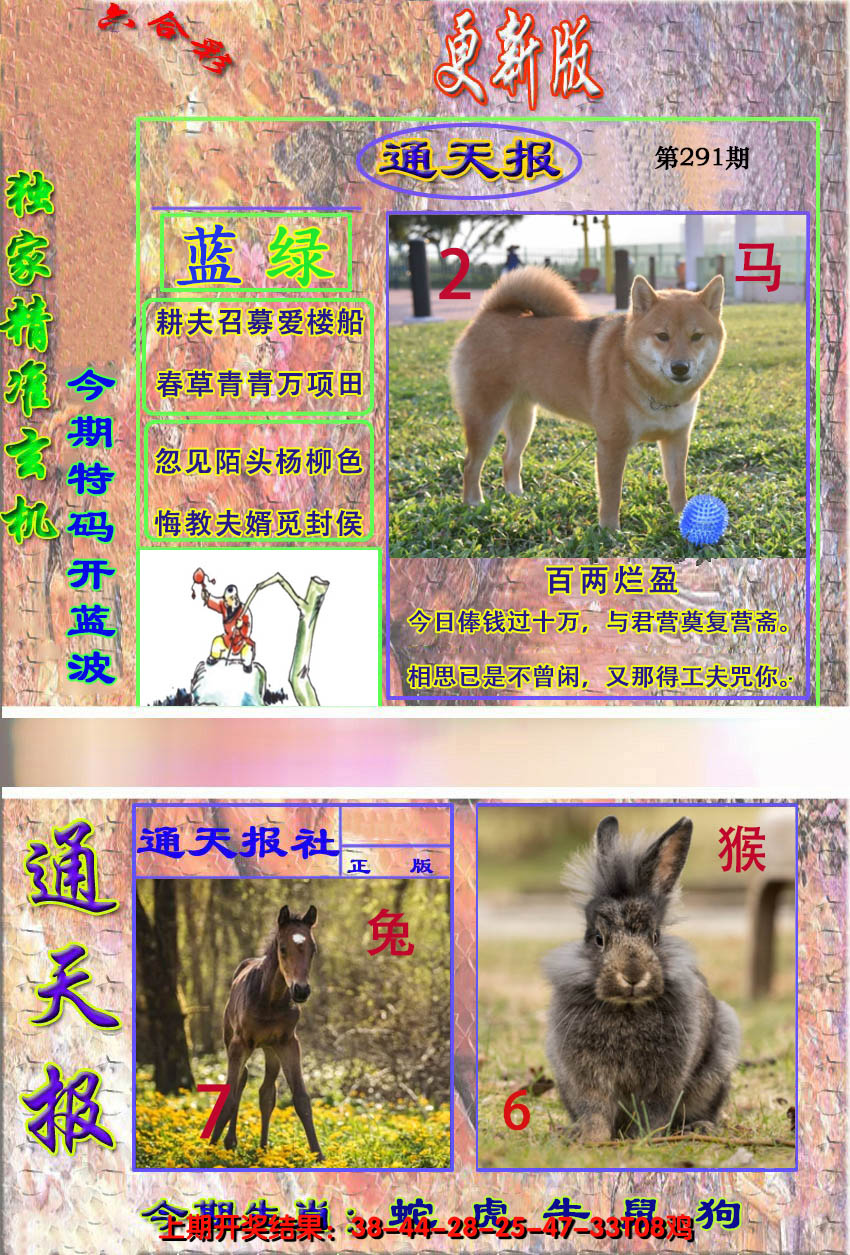 2024291期新通报