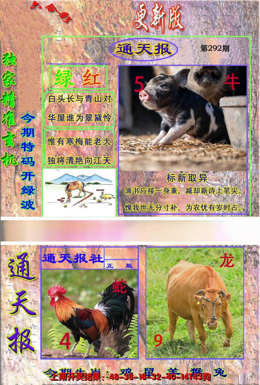 2024292期新通报