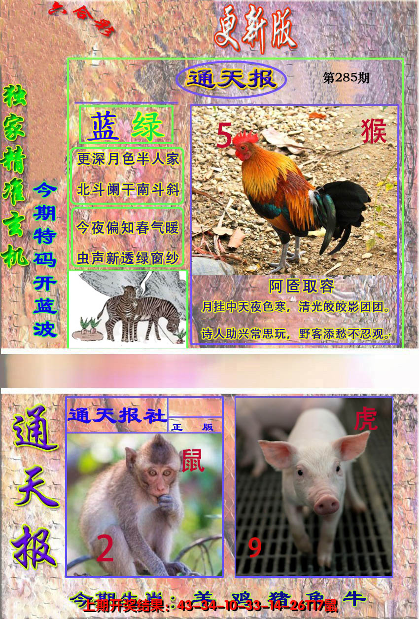 2024285期新通报