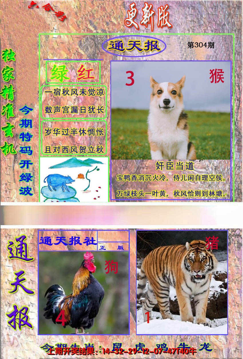 2024304期新通报