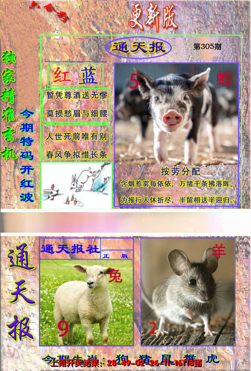 2024305期新通报