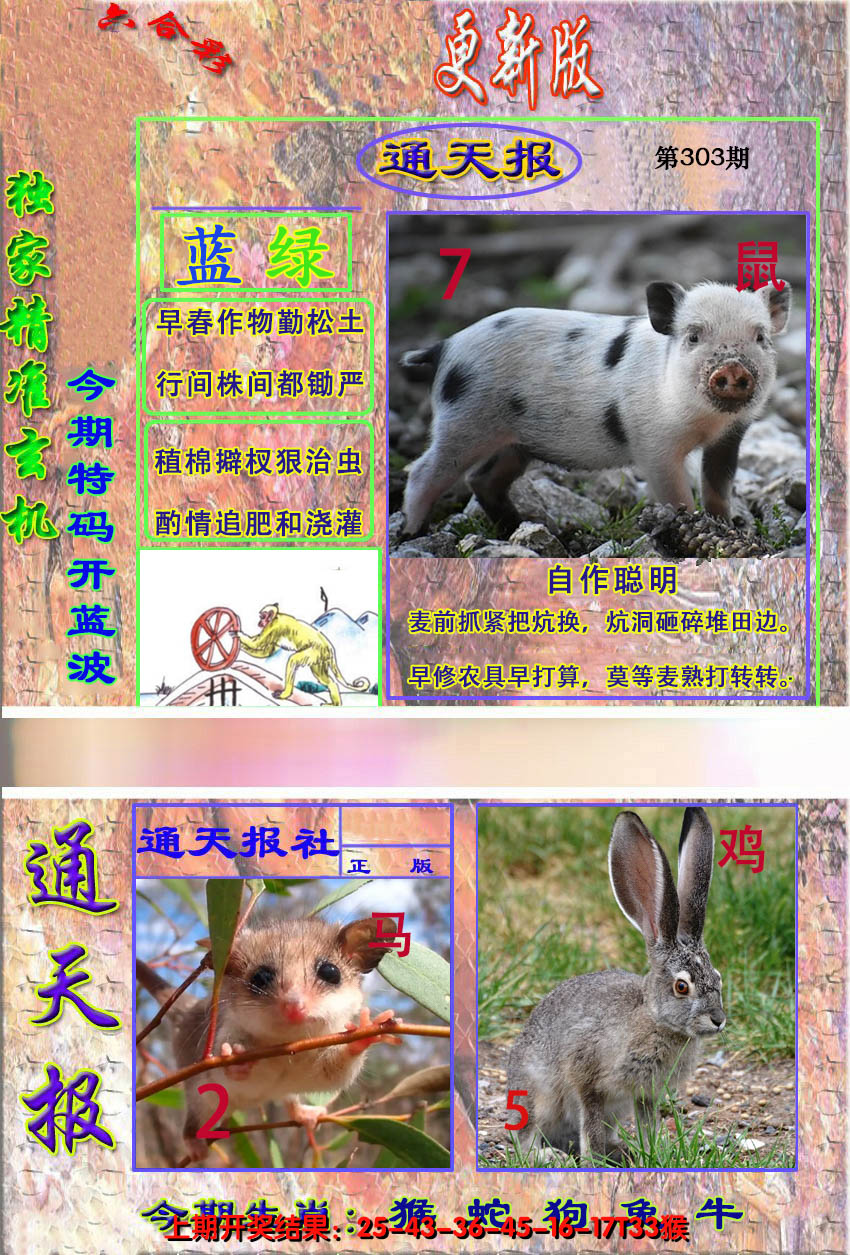 2024303期新通报