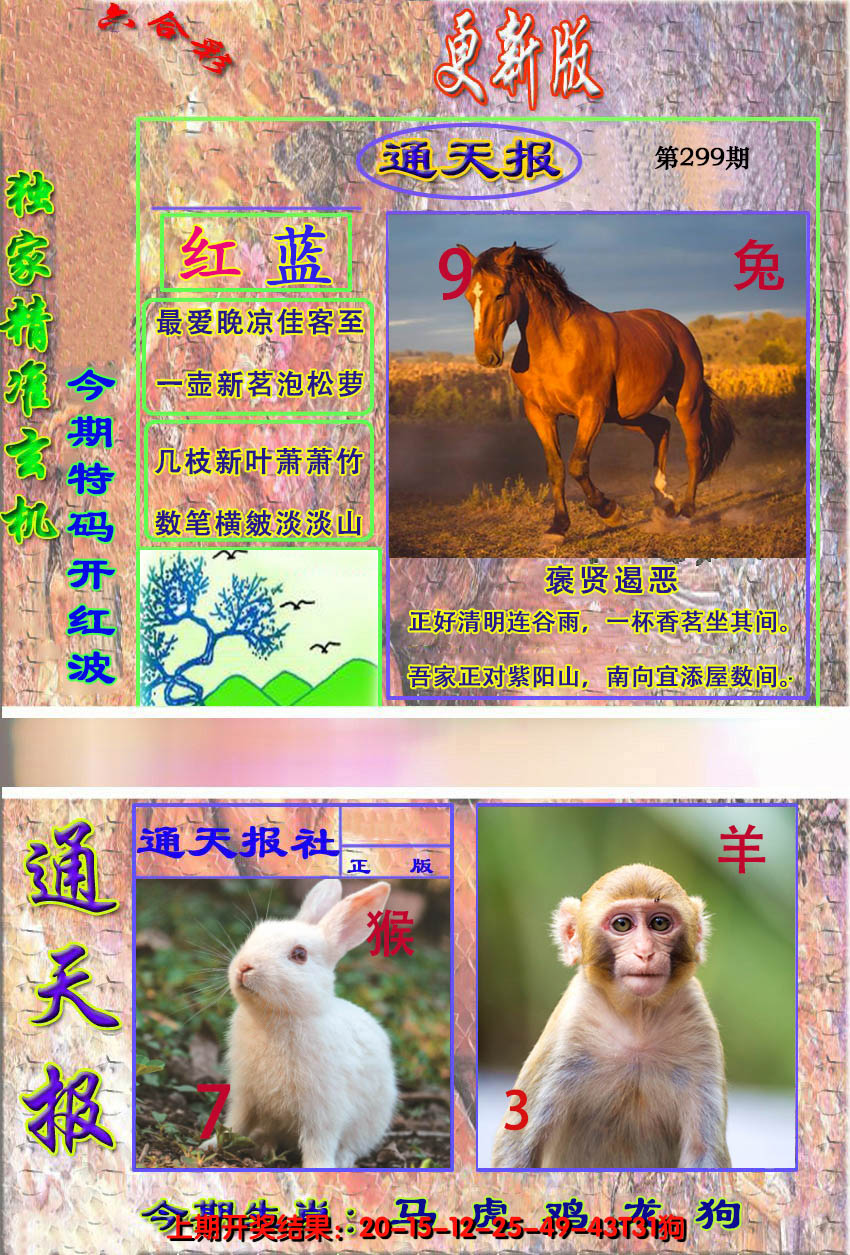 2024299期新通报