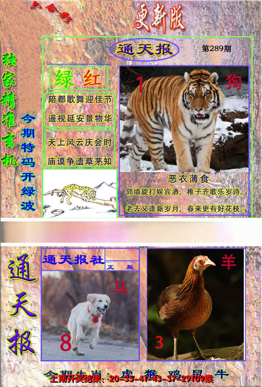 2024289期新通报