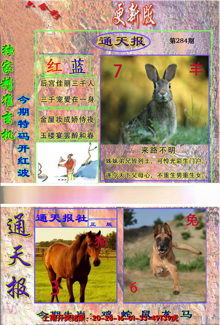 2024284期新通报