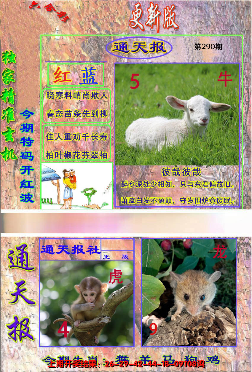 2024290期新通报