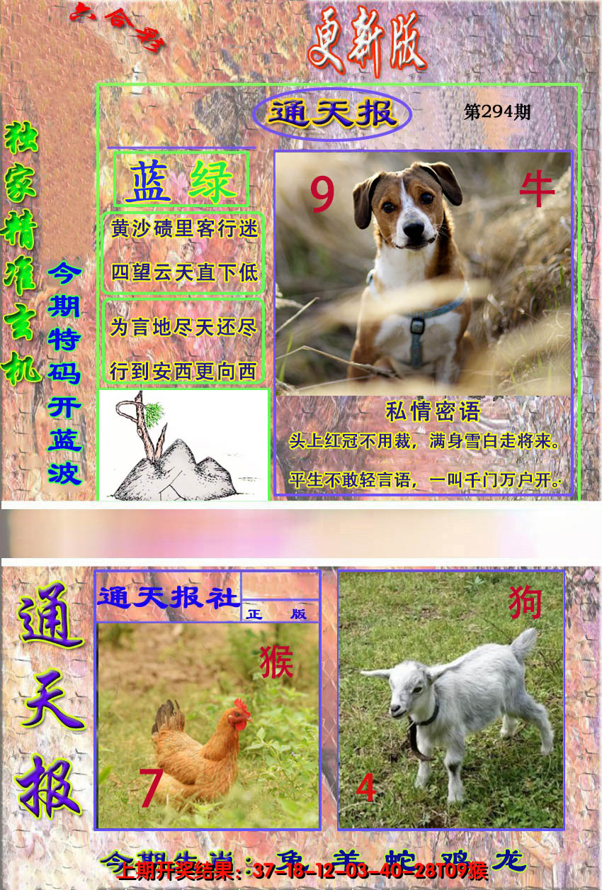 2024294期新通报
