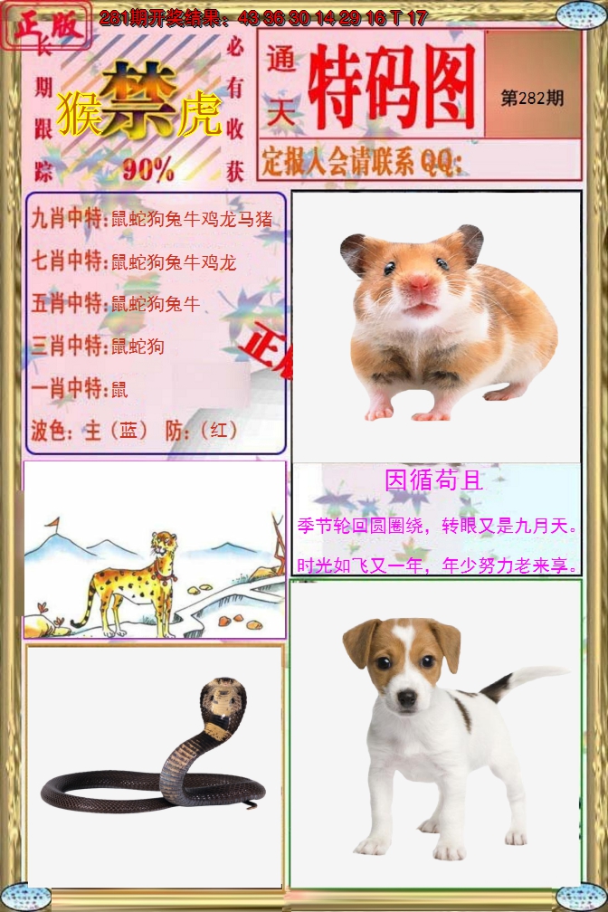 2024282期特码图