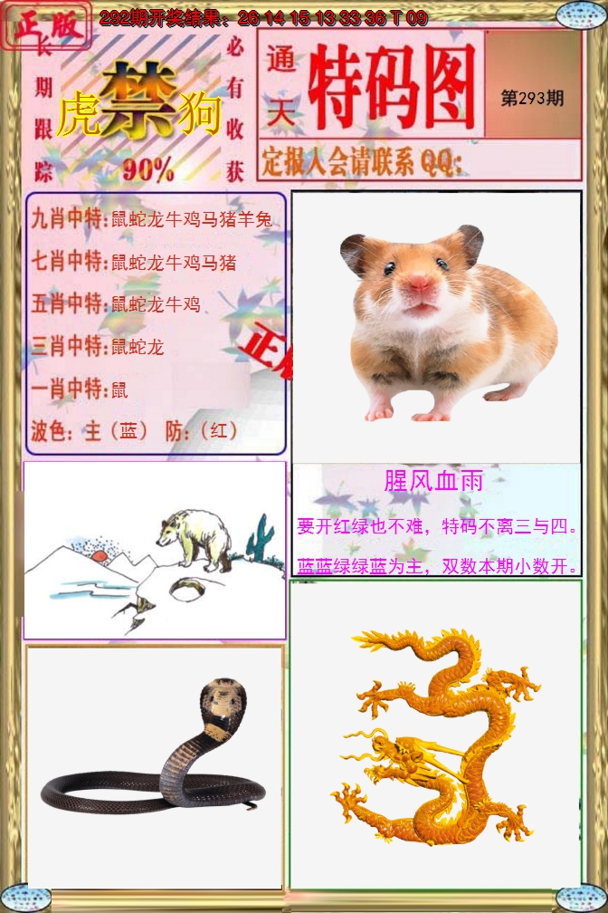 2024293期特码图