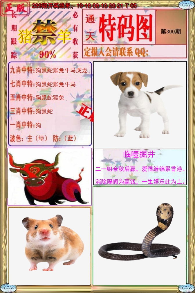 2024300期特码图