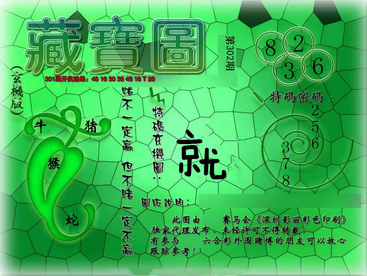 2024302期九龍玄机报