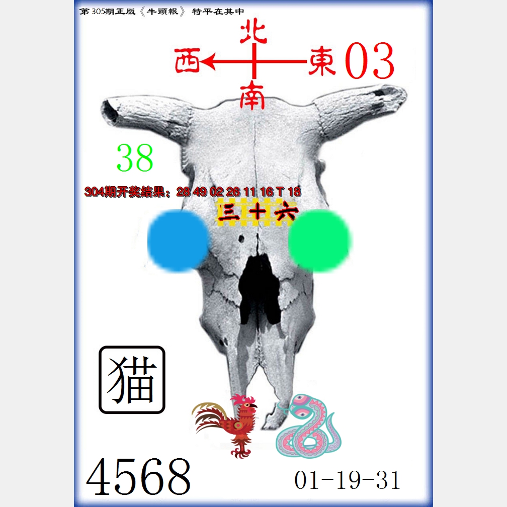 2024305期牛头报