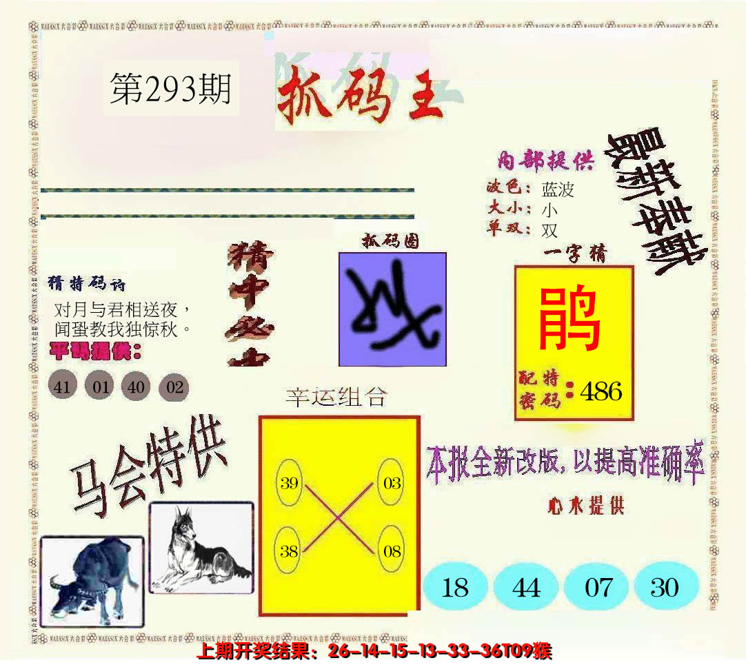 2024293期新抓码王