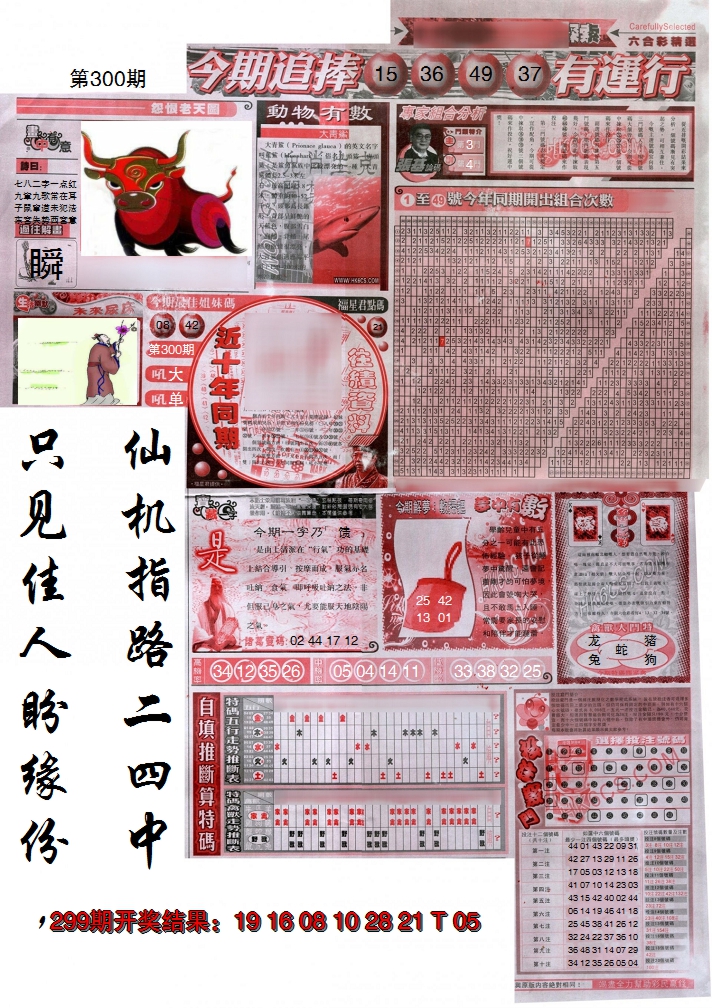 2024300期新六合精选B