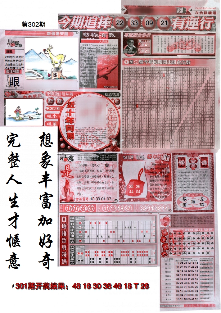 2024302期新六合精选B