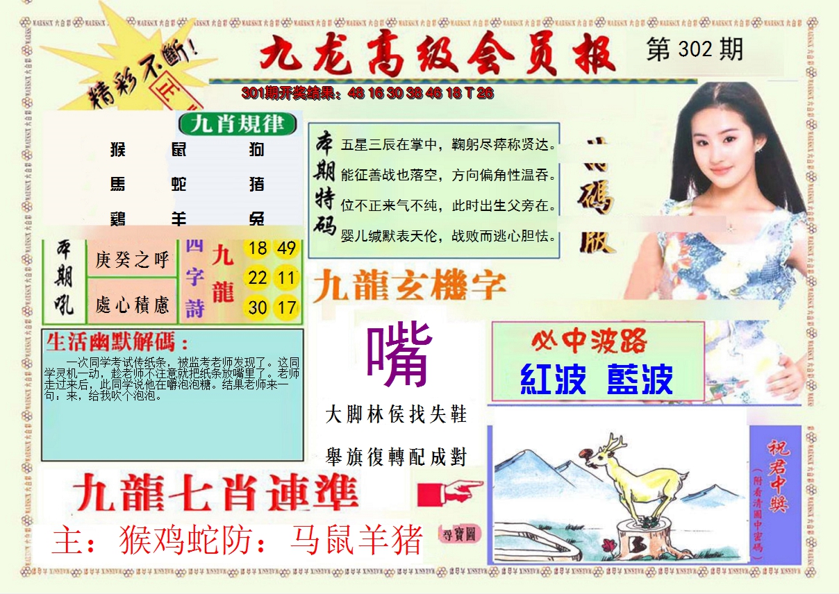 2024302期九龙高级会员报