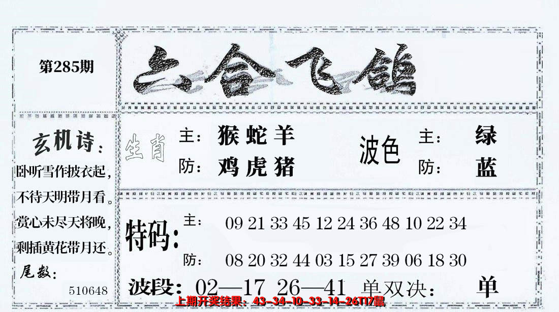 2024285期六合飞鸽