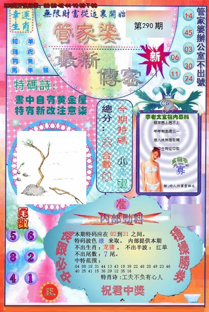 2024290期管家婆新传密