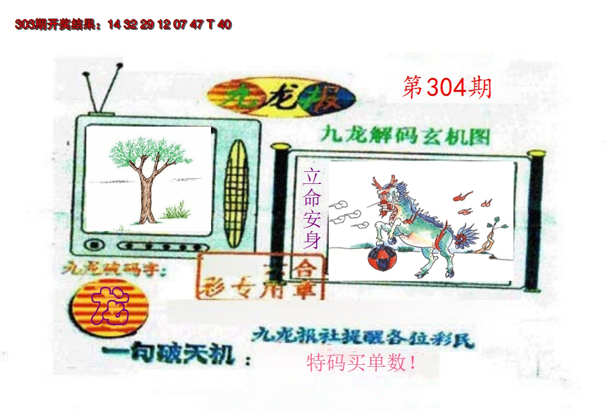2024304期九龙报