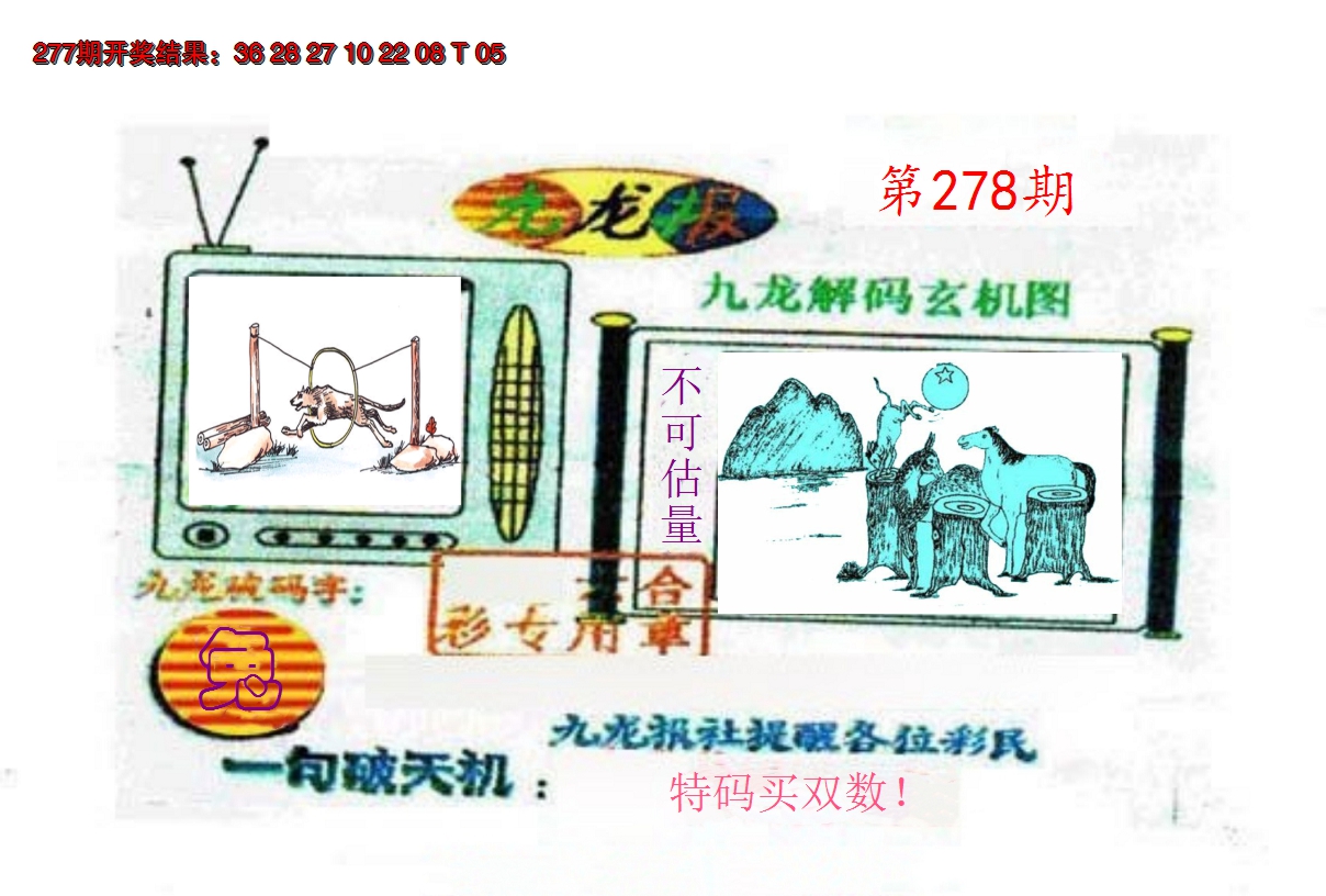 2024278期九龙报