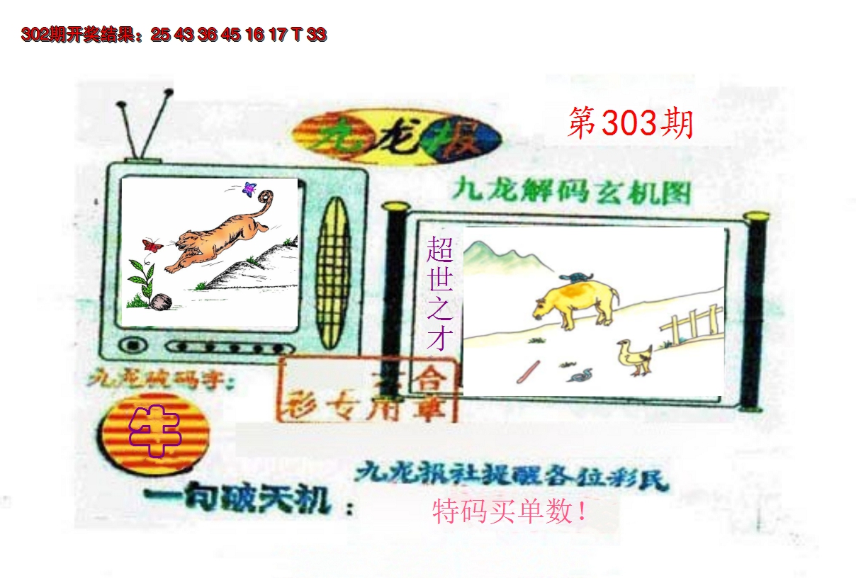 2024303期九龙报