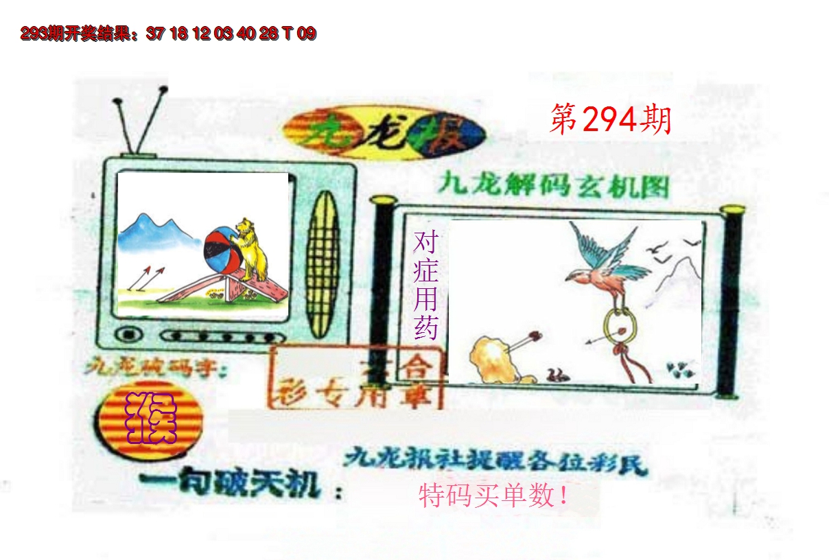 2024294期九龙报