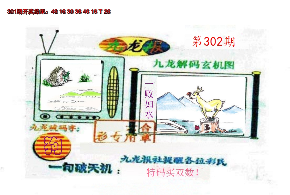 2024302期九龙报