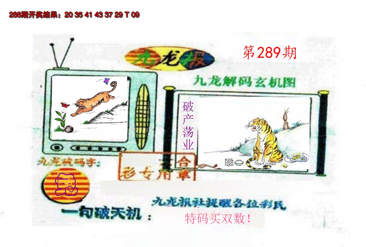 2024289期九龙报