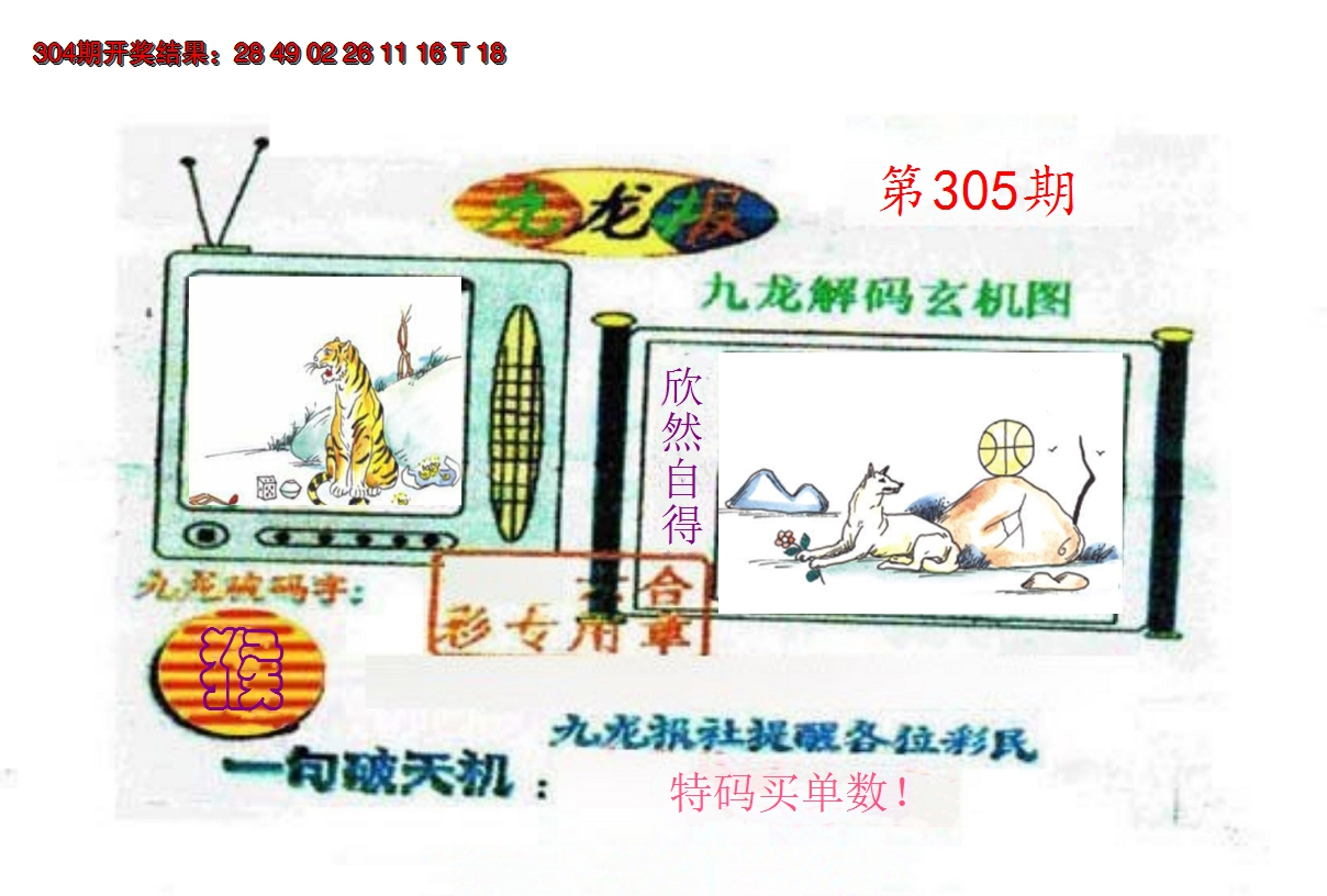 2024305期九龙报