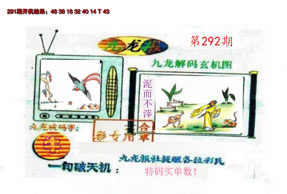 2024292期九龙报