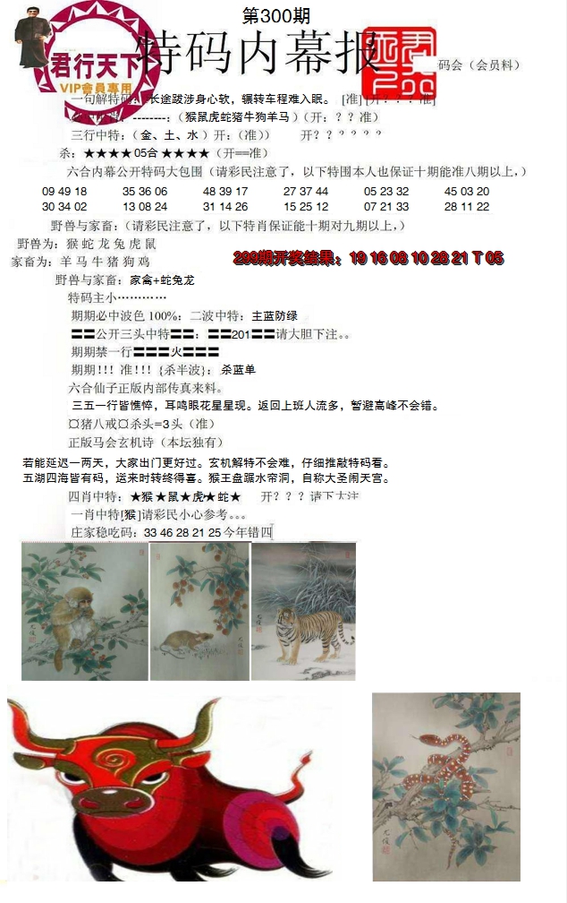 2024300期特码内幕报