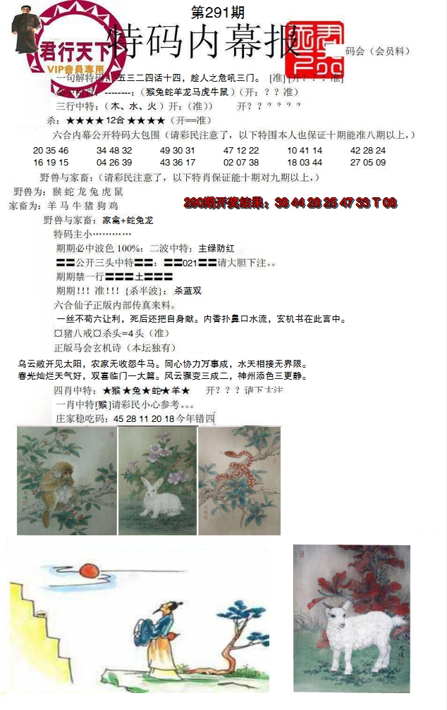 2024291期特码内幕报