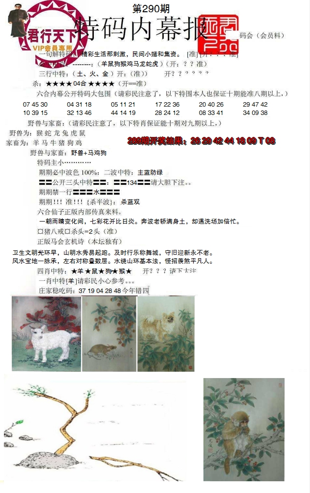 2024290期特码内幕报