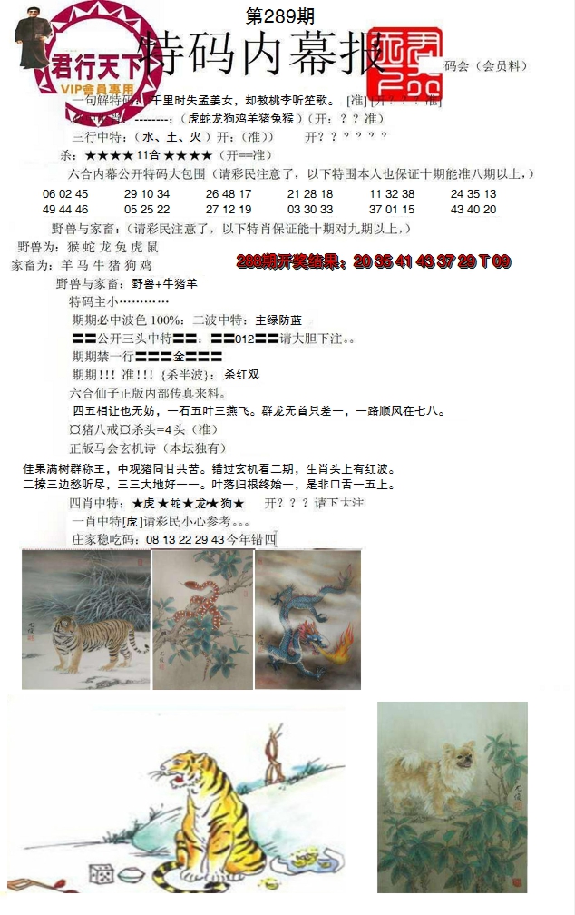 2024289期特码内幕报