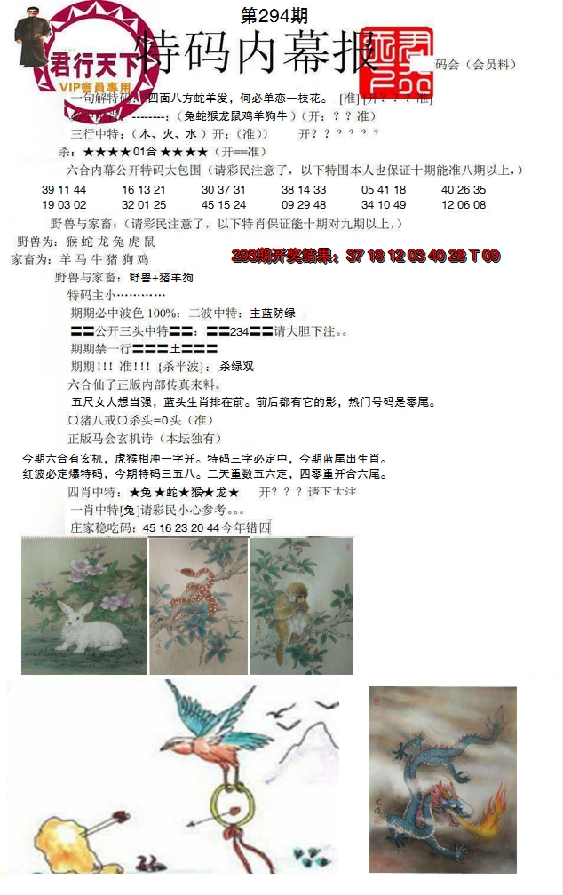 2024294期特码内幕报