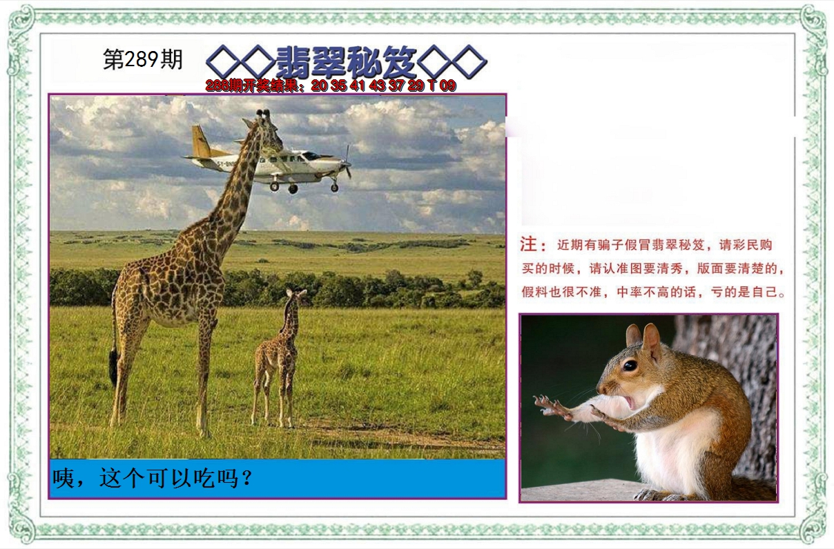 2024289期翡翠秘笈