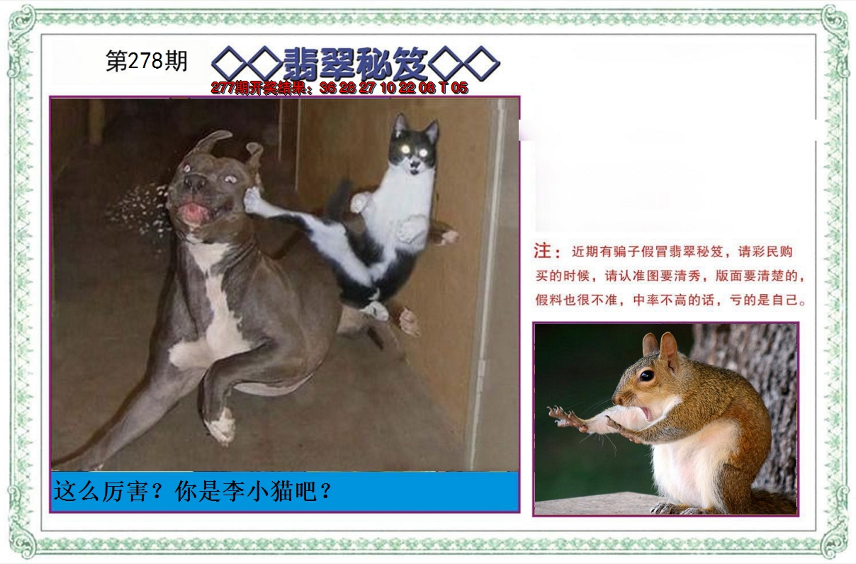 2024278期翡翠秘笈