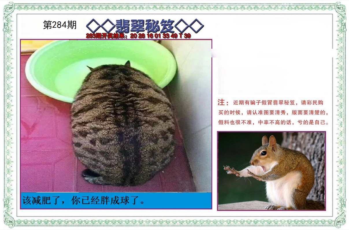 2024284期翡翠秘笈